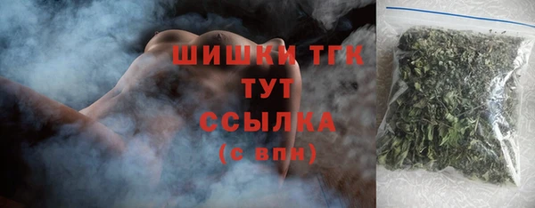 прущие грибы Балахна