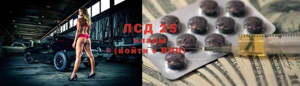 прущие грибы Балахна
