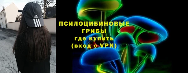 винт Аркадак