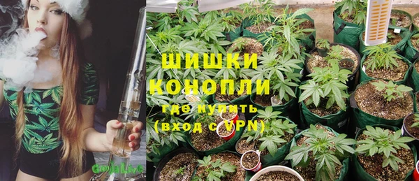 ГАЛЛЮЦИНОГЕННЫЕ ГРИБЫ Баксан