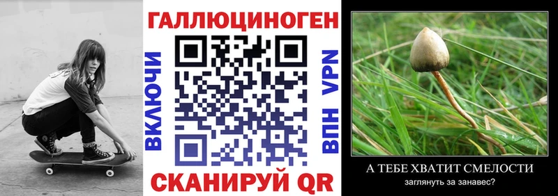 Галлюциногенные грибы Magic Shrooms  Реж 